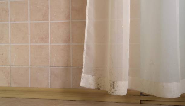 Newhall, IA Mold Removal Company