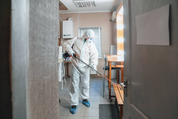 Best Emergency Mold Remediation  in Newhall, IA