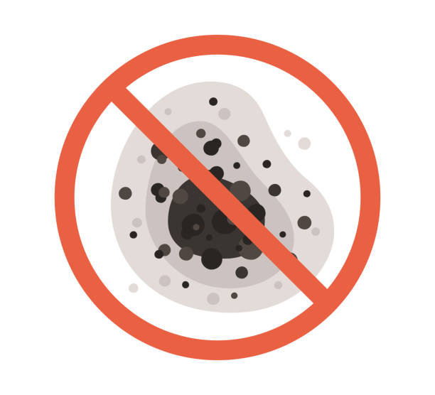 Best Real Estate Mold Inspection  in Newhall, IA