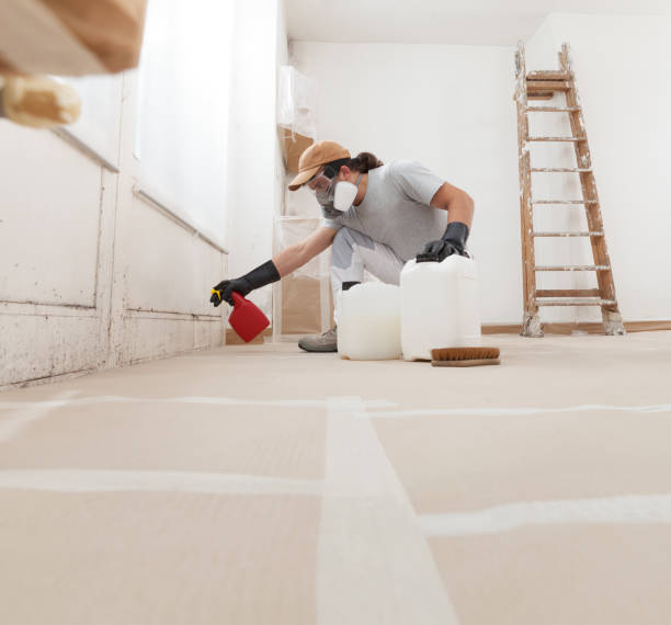 Best Water Damage & Mold Remediation  in Newhall, IA